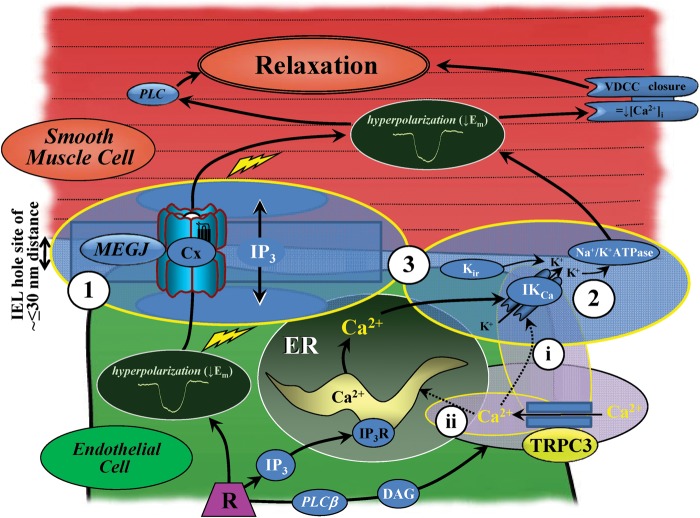 Figure 3