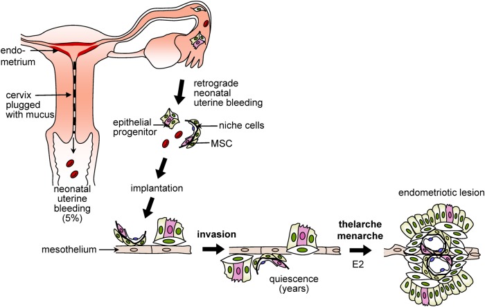 Figure 2