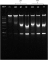 Fig 7