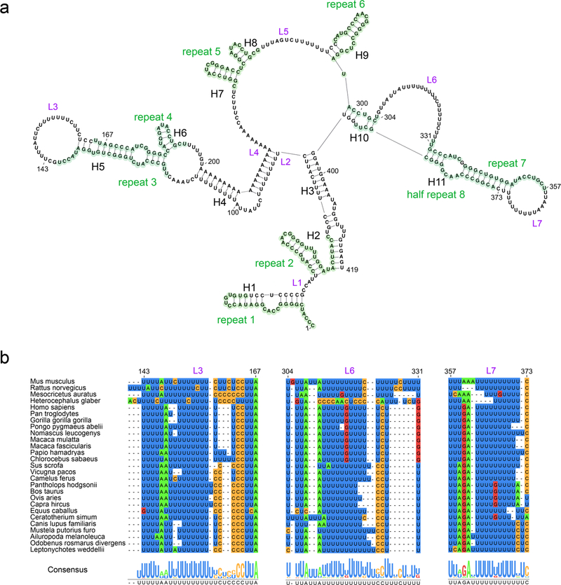 Figure 4: