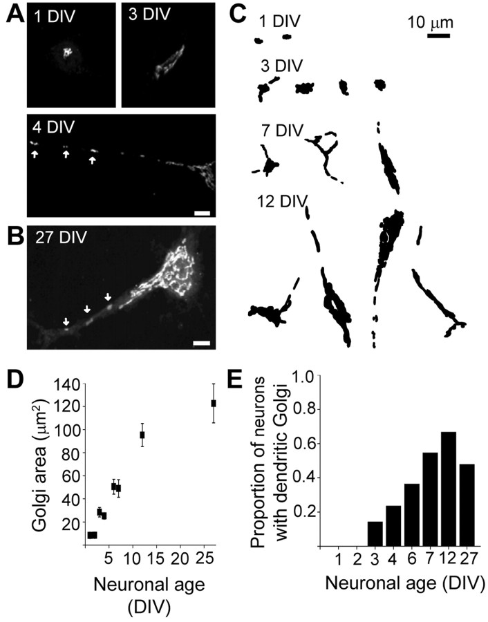 Figure 7.