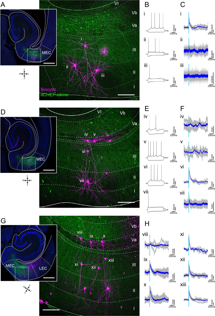 Figure 4—figure supplement 1.