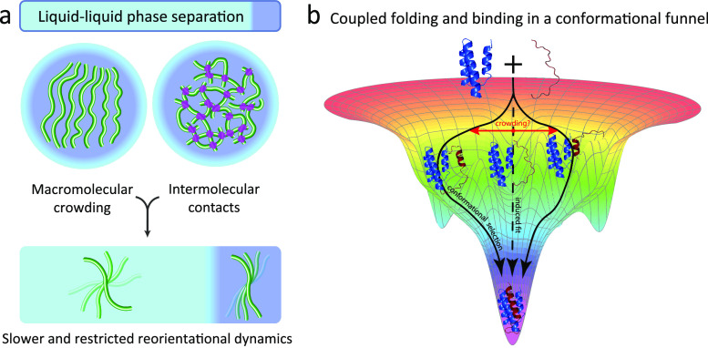 Figure 22