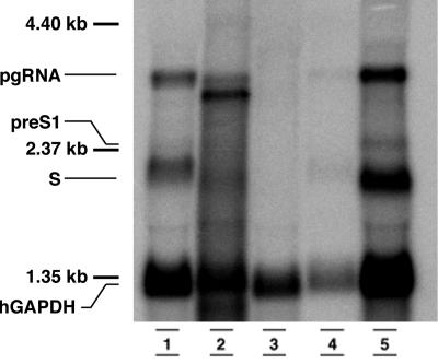 FIG. 8.