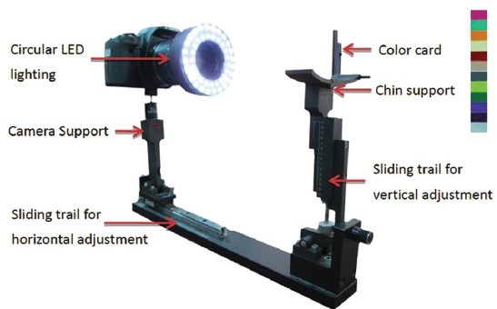 Figure 3a