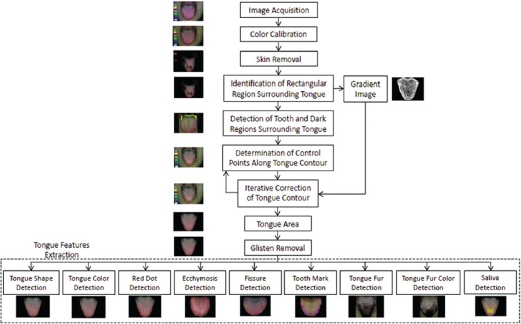 Figure 3b