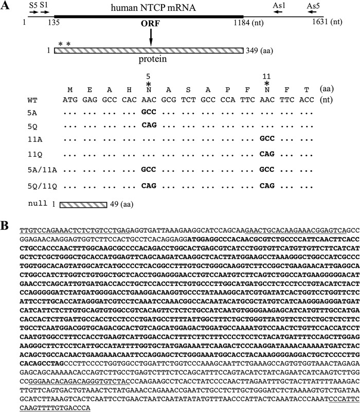 FIG 1