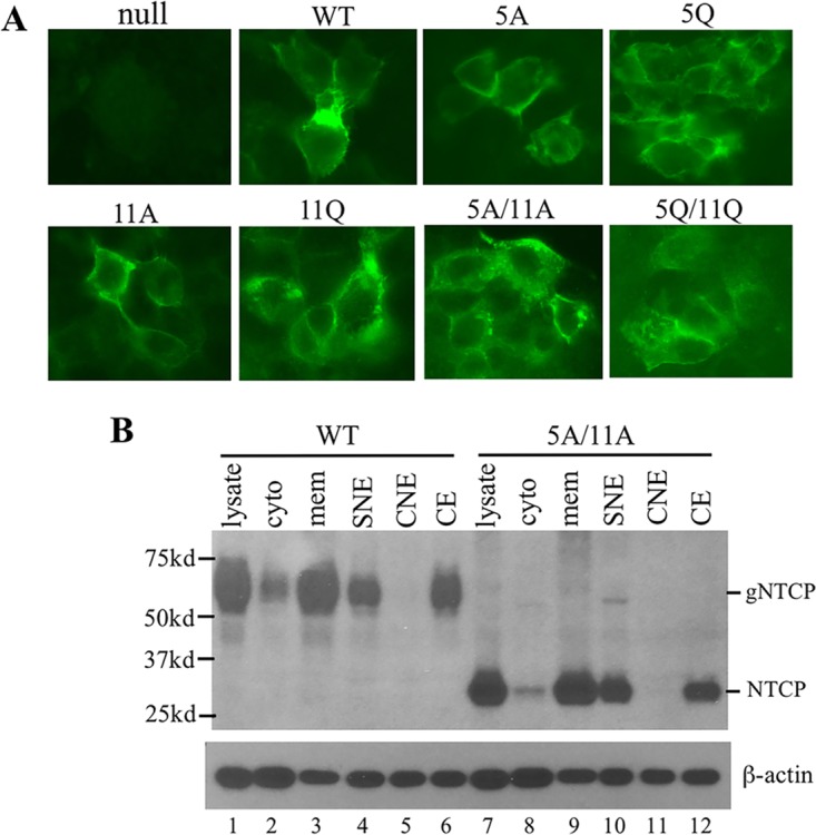 FIG 4