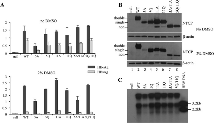 FIG 3