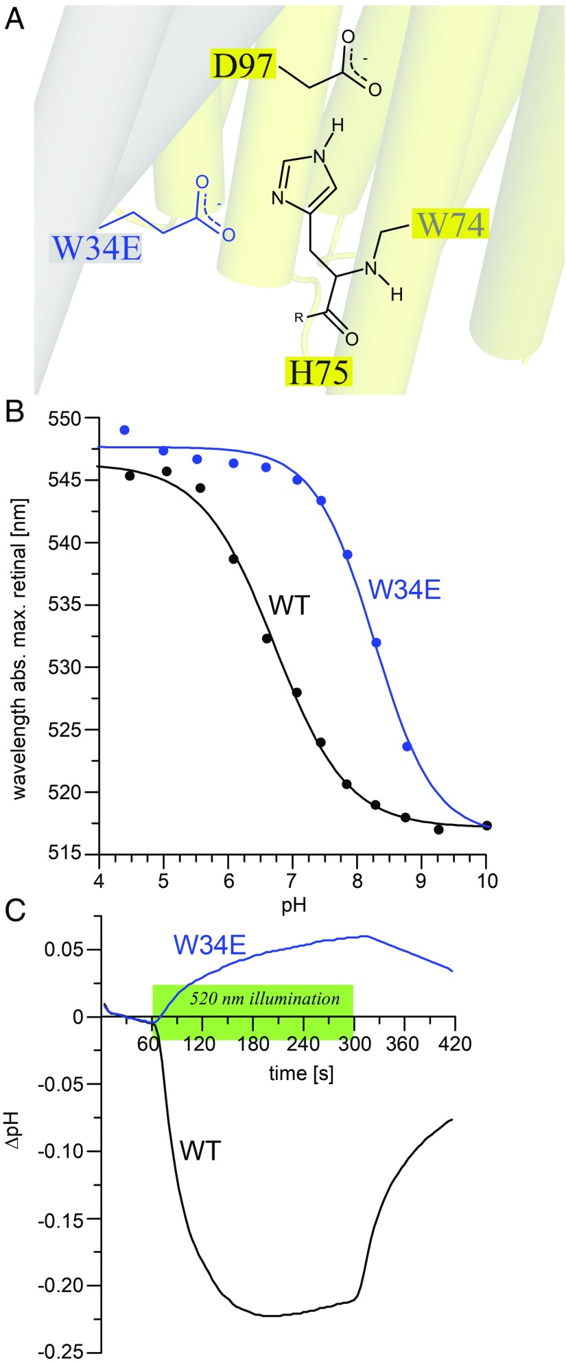 Fig. 5.