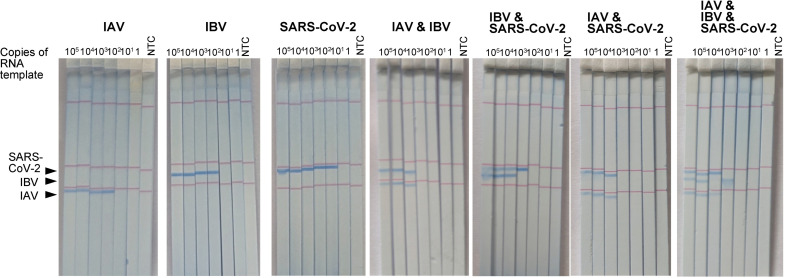 Fig 4