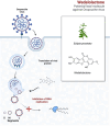 Image, graphical abstract