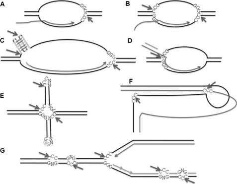 FIGURE 7.