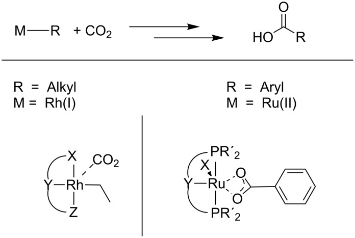 Scheme 8