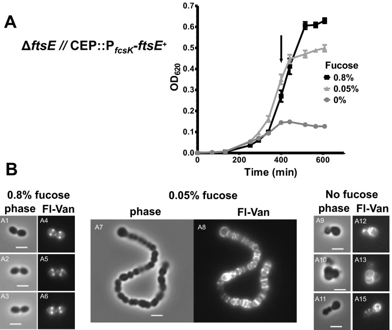 FIG 2 