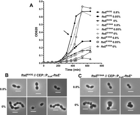 FIG 3 