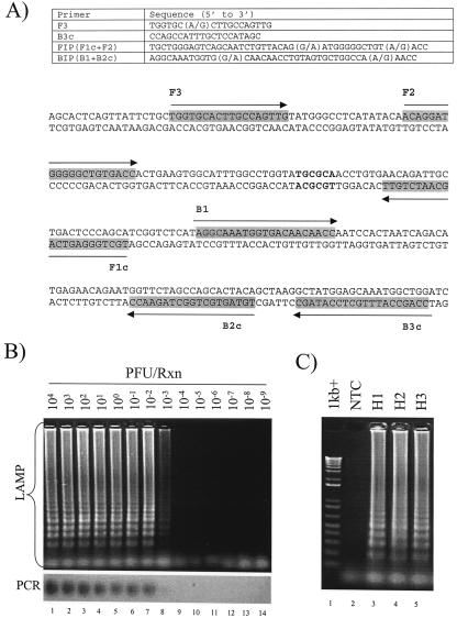 FIG. 1.