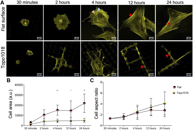 FIGURE 3