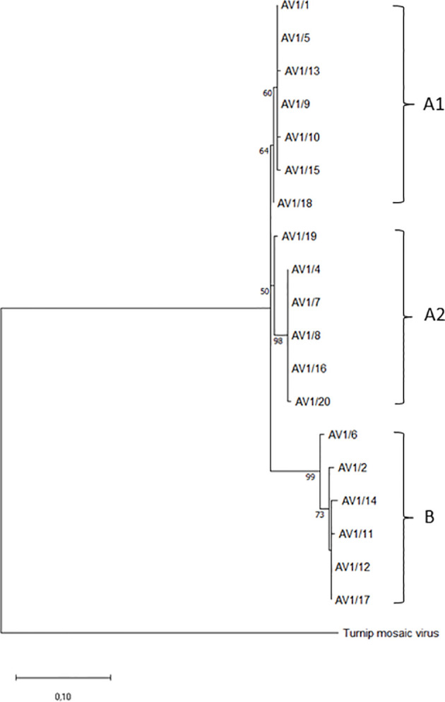 Figure 1