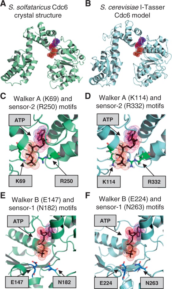 Figure 6.