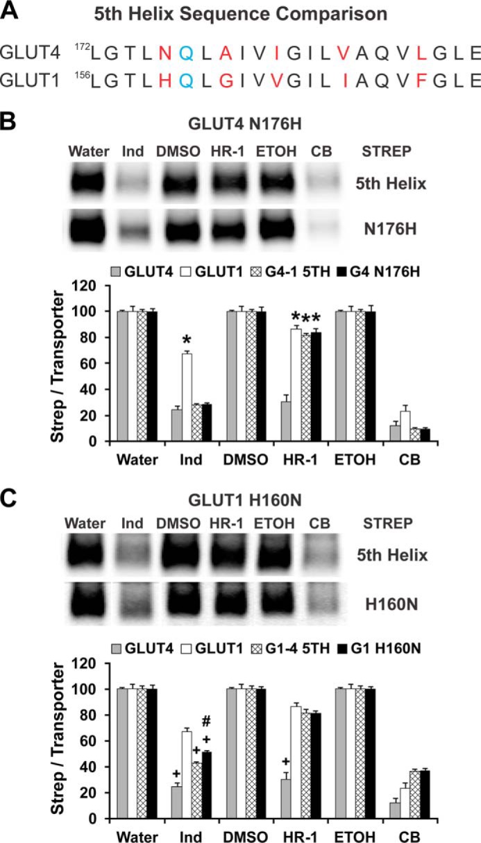 FIGURE 9.