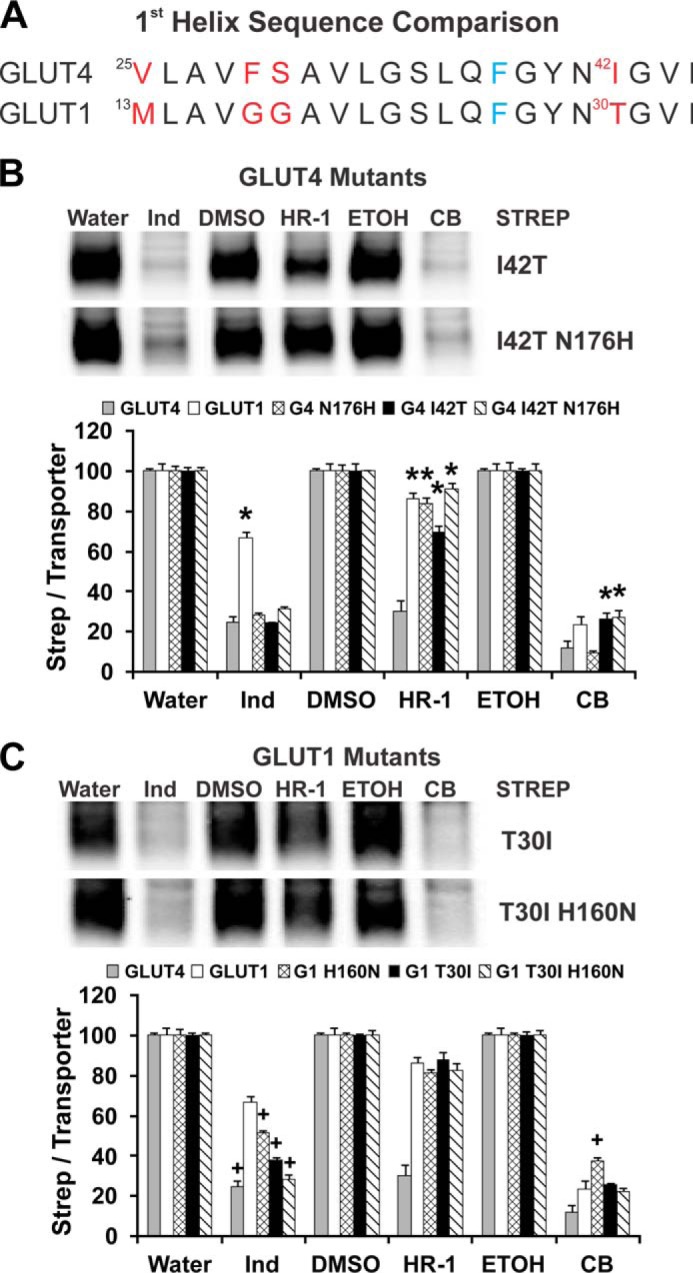 FIGURE 10.