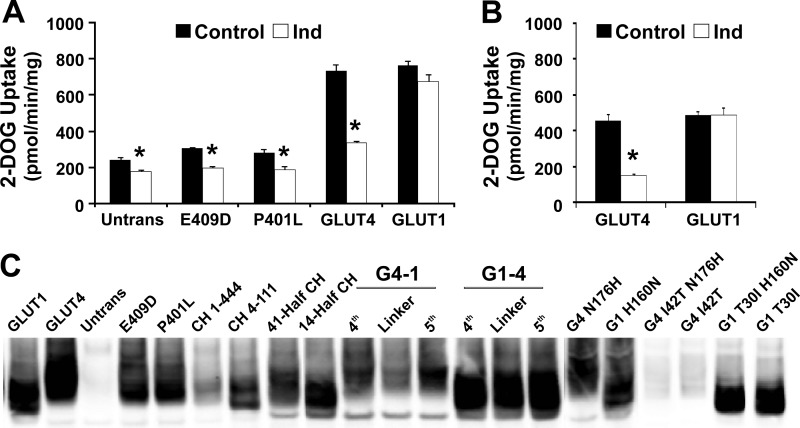 FIGURE 11.