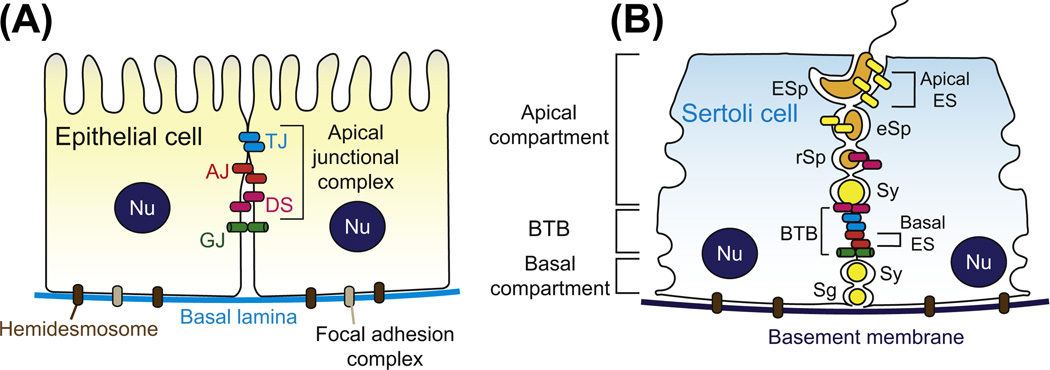 Figure 6.1