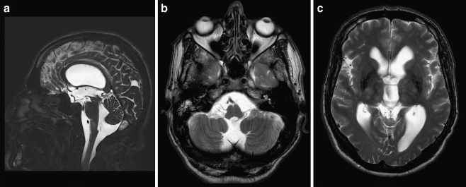 Fig. 6