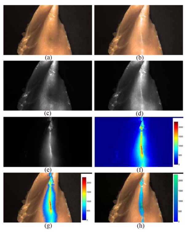 Fig. 7