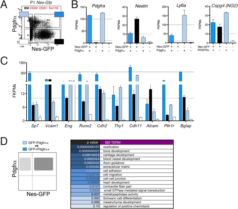 Figure 5—figure supplement 1.