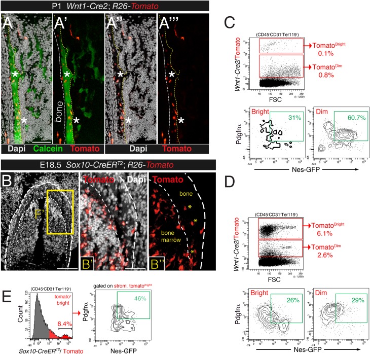 Figure 4—figure supplement 2.