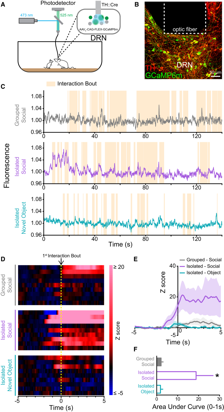 Figure 2