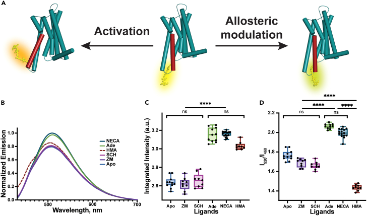 Figure 3