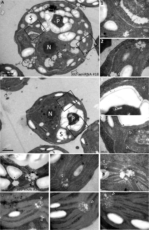 Figure 10.