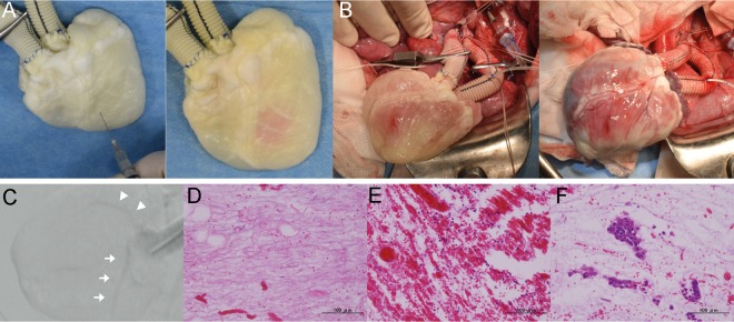 Figure 6: