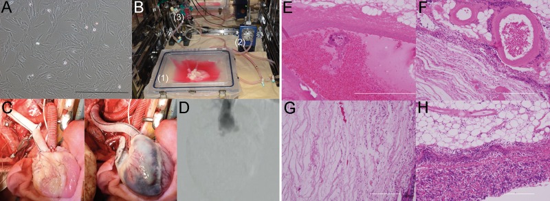 Figure 5: