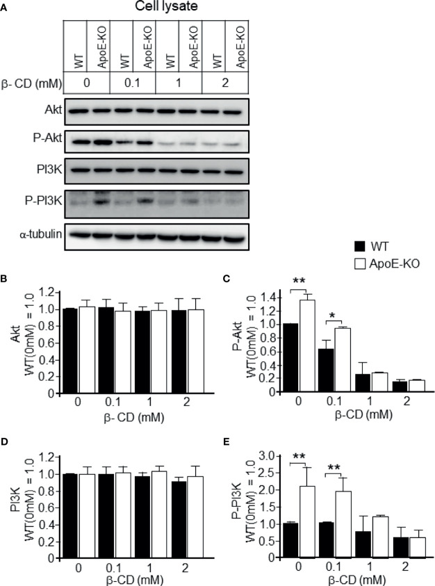 Figure 5