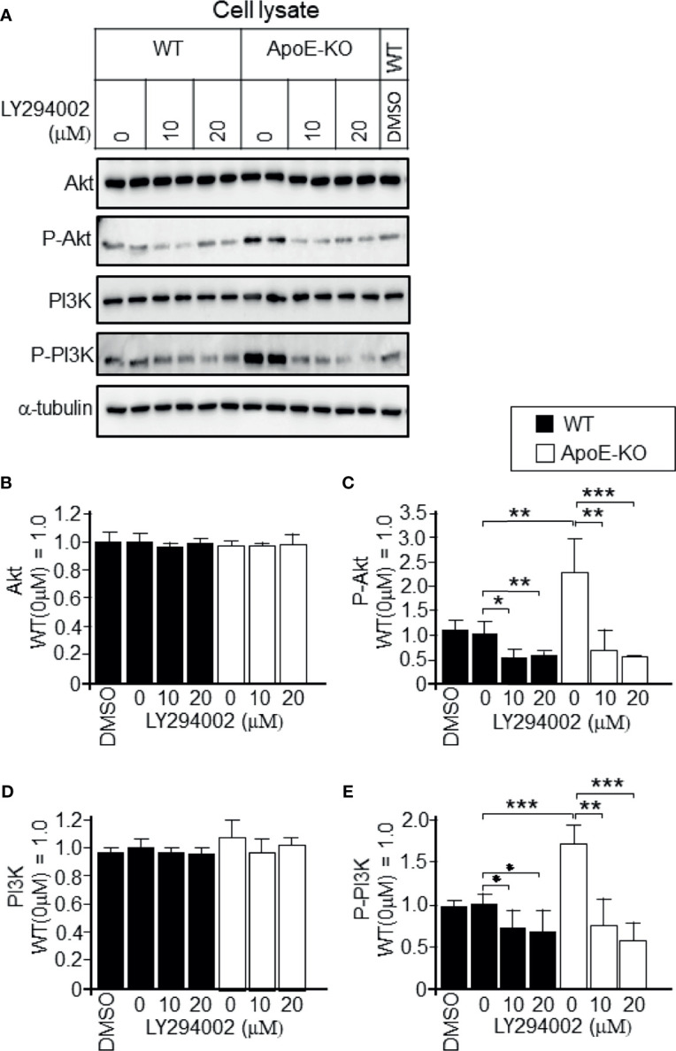 Figure 6