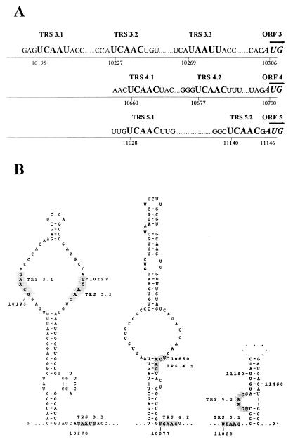 FIG. 7