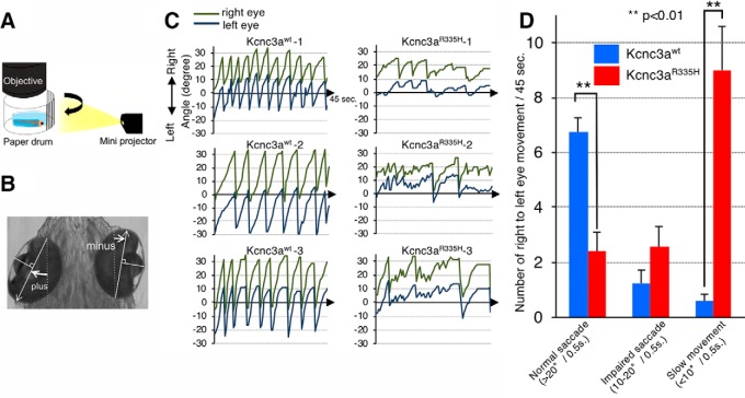 Figure 13.