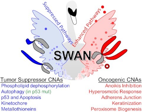 Graphical Abstract