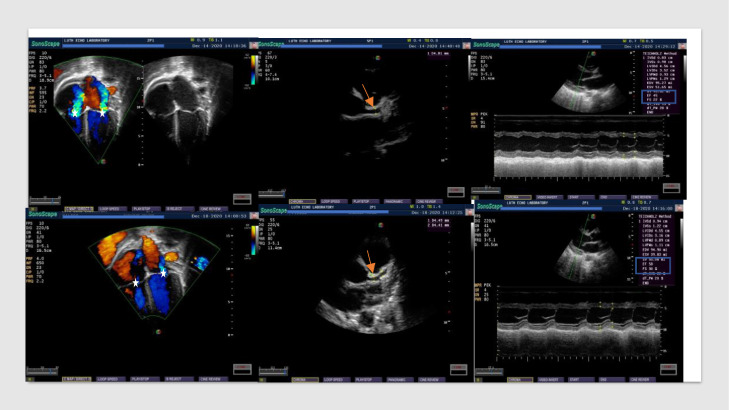 Fig. 4: