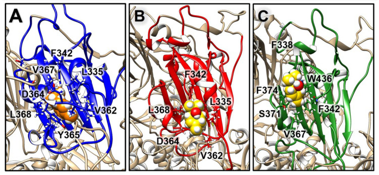 Figure 5