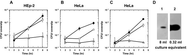 FIG. 1.