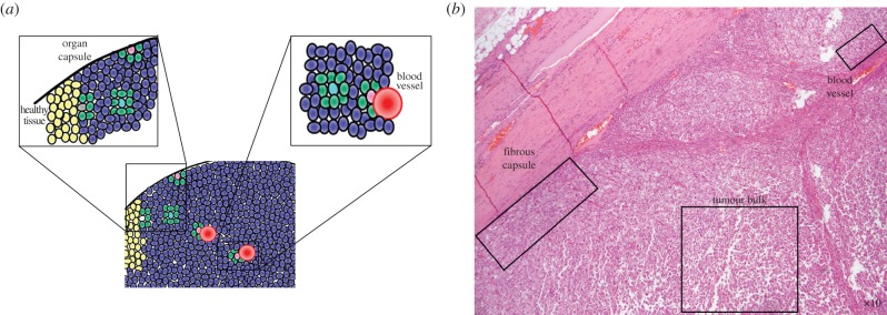 Figure 1.