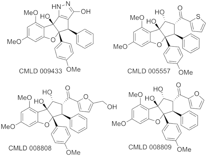 Figure 6