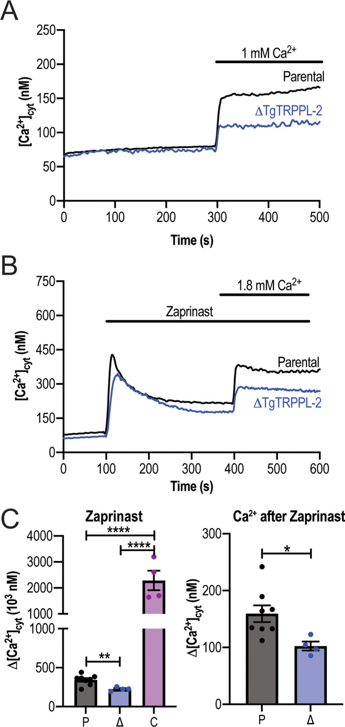 Figure 3—figure supplement 1.