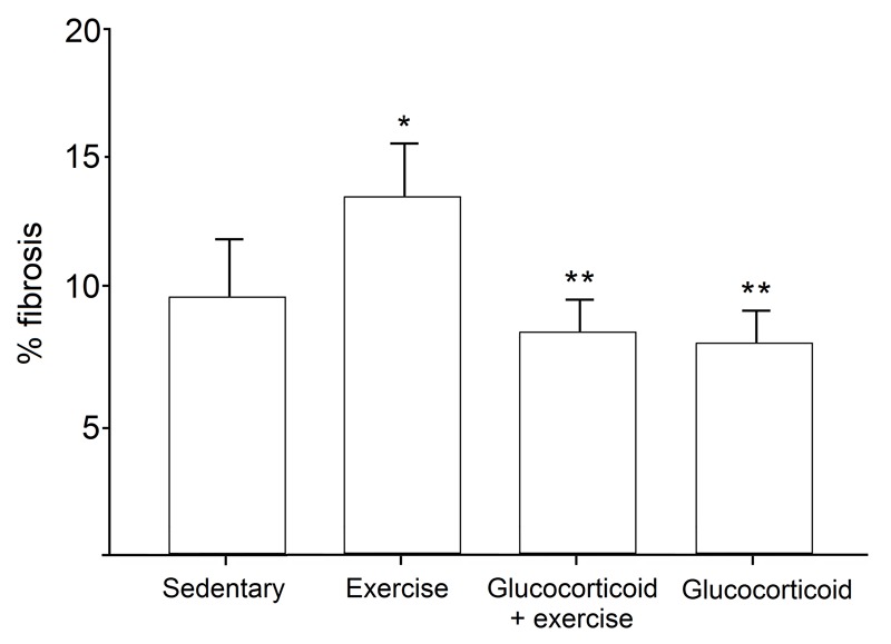 Fig. 4: Comparison of erector spinae muscle fibrosis among treatment groups.