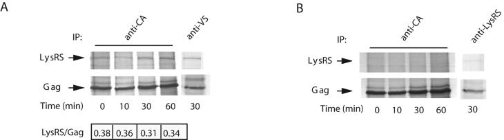 FIG. 7.